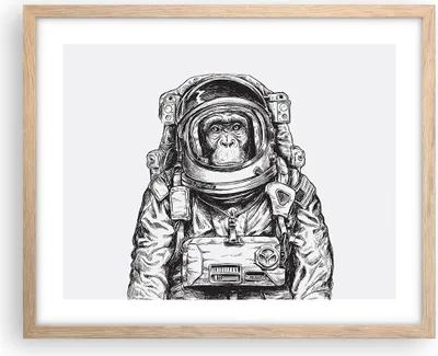 Produktbild von Gerahmtes Poster - Rahmen in heller Eiche - Schimpanse Astronaut Zeichnung - 50x40 cm - Wand Bild - Wanddeko - Wandbilder - Wandposter - Bilderrahmen - Bilder - Kunstdruck - Wandbild - P2NAA50x40-4312