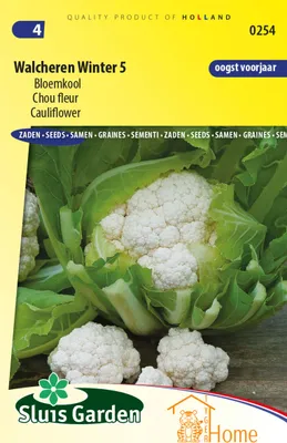 Image de Graines de chou-fleur Walcheren Winter 5 – Cultivez des choux-fleurs résistants au froid et nutritifs pour une récolte délicieuse dans votre potager.