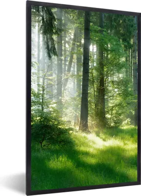 Produktbild von MuchoWow® Gerahmtes Poster Natur - Bäume - Wald - Grün - Sonne - Gras - Pflanzen 60x90 cm - Poster mit Schwarzem Bilderrahmen Wandposter Rahmen Foto Bilder - Kunst