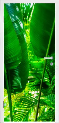 Produktbild von MuchoWow® Türtapete Selbstklebende Türfolie Tropische Blätter im Dschungel Fotodruck 90x215 cm Türposter Türaufkleber Klebefolie Türklebefolie - Plakat an der Tür - Türsticker - Aufklebern