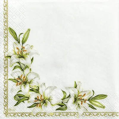 Obrázok produktu pre Servítky pohár 33x33cm 20 kusov bielo zeleno zlaté