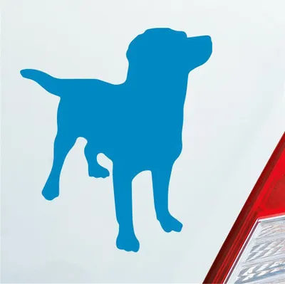 Produktbild von Auto Aufkleber Labrador Labbi Retriever Dog Hund Dog Tier 10x12 cm Hellblau Sticker Heckscheibenaufkleber