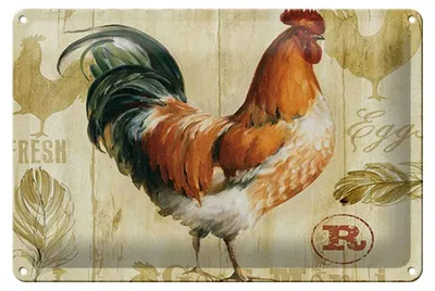 Produktbild von Blechschild Spruch 30x20cm Huhn Hühner Eggs frische Eier
