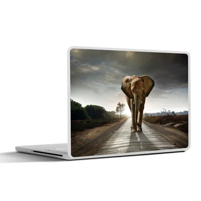 Produktbild von MuchoWow® Laptop Aufkleber Sticker Cover Elefant - Natur - Straße 40x30 cm - Laptop Dekoration - Selbstklebend