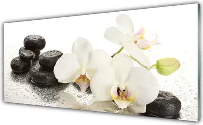 Produktbild von Acrylglasbilder 125x50 Wandbild Druck Blumen Steine Pflanzen
