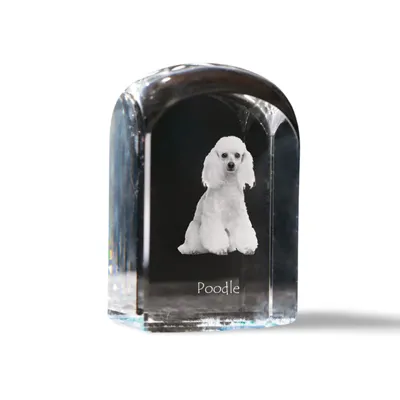 Produktbild von Pudel Kristallstempel mit einem Hund Art-Dog