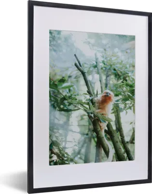 Produktbild von MuchoWow® MuchoWow® Gerahmtes Poster Zwergseidenäffchen im Baum 30x40 cm - Poster mit zchwarzem Bilderrahmen - Wandposter Schlafzimmer