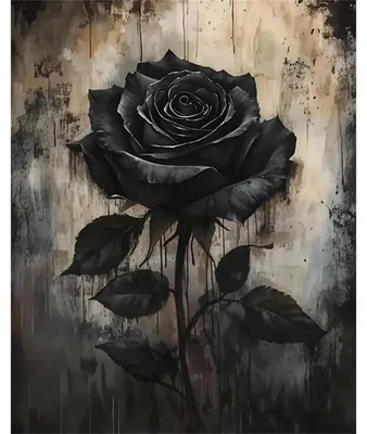 Image de Kit de loisirs créatifs pour adultes : peinture par numéros, motif "Rose noire", idéal pour la décoration intérieure