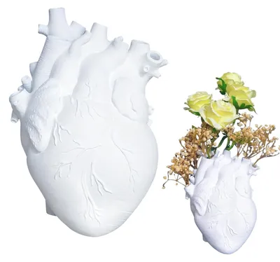 Productafbeelding van Solidchoice - Anatomische Hartvaas van Hars