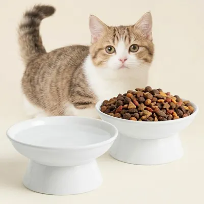 Productafbeelding van Kattenvoerbak verhoogd - Keramiek - 16 cm - Set van 2 - Wit