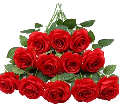 12 Kunstrosen aus Seide, 51 cm, rot für Hochzeit & Deko