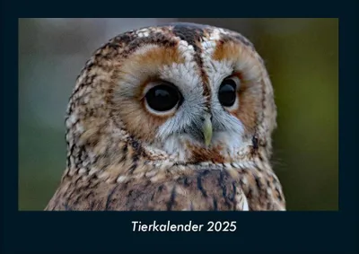 Produktbild von Tierkalender 2025 Fotokalender DIN A4