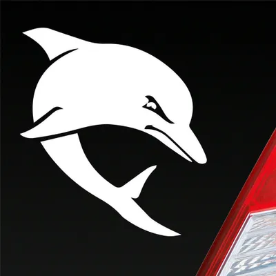 Produktbild von Auto Aufkleber Böser Delphin Delfin Angry Dolphin Tier Tuning 10x9 cm Weiss Glanz Sticker Heckscheibenaufkleber