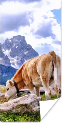 Produktbild von MuchoWow® Poster Alpen - Kuh - Berg 20x40 cm - Plakat - Foto