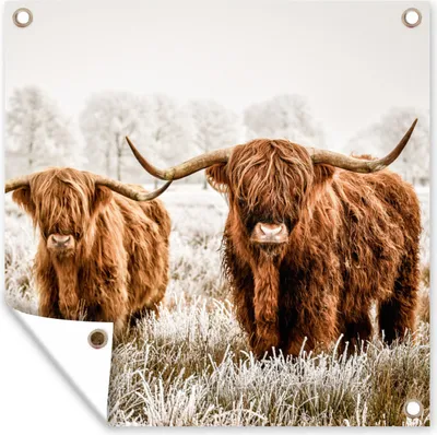 Produktbild von MuchoWow® 50x50 cm Outdoor-Poster Gartendeko Sichtschutz Garten Poster für den Garten  Schottischer Highlander - Kuh - Tiere