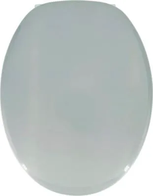 Produktbild von Adob, WC Sitz CAPRI Hochglanz Holzkern-Polyester,hellgrau-RAL 7000, 52149