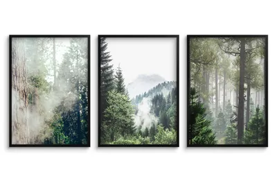 Produktbild von Poster fürs Schlafzimmer, Wandposter fürs Wohnzimmer Wald im Nebel 3x 50x70cm