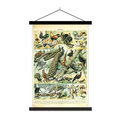 Produktbild von MuchoWow® Textilposter Tier - Vögel - Jahrgang 60x90 cm mit schwarzem Rahmen - Poster Wohnzimmer