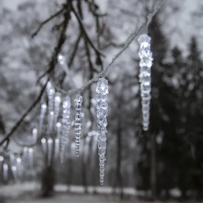 Produktbild von LED Lichterkette Eiszapfen - 40 Eiszapfen - 8 Lauflichtfunktionen - L: 6m - Timer - für Außen