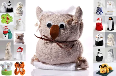 Produktbild von Frottier Geschenk Set viele Modelle Handarbeit Origami Gästetuch Handtuch Waschhandschuh, Motiv/Art:Eule