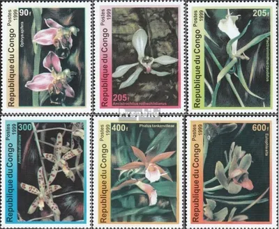 Produktbild von Briefmarken Kongo (Brazzaville) 1999 Mi 1663-1668 (kompl.Ausg.) postfrisch Orchideen