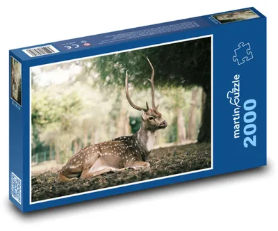 Zdjęcie produktu dla martinpuzzle - Puzzle 2000 - Dzikie zwierzęta