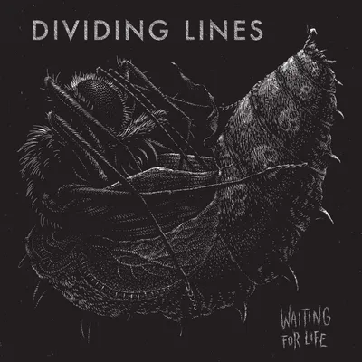 Obrázek produktu pro Dividing Lines: Waiting For Life