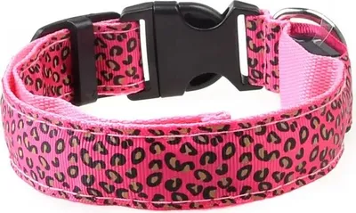 Image de Collier LED pour chien imprimé léopard /Rose XL