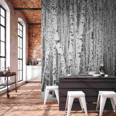 Zdjęcie produktu dla A.S. Creation Livingwalls Tapeta The Wall 382591 Jedna rolka Jeden motyw 3,71 x 2,80 m Birch Forest Black