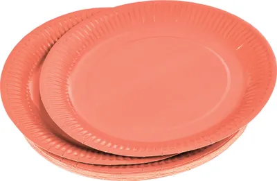 Image de 20 assiettes en carton 23 cm Unies terracotta