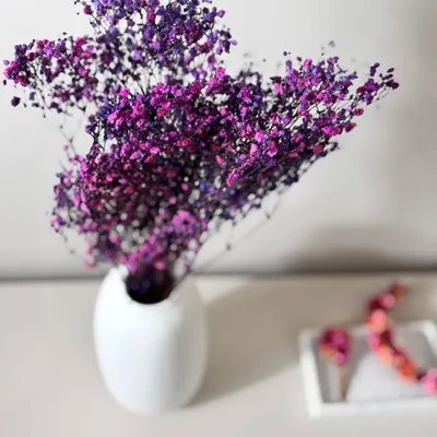 Produktbild von Gypsophila Schleierkraut konserviert 60-75cm für Vasen Trockenblumen Langlebig