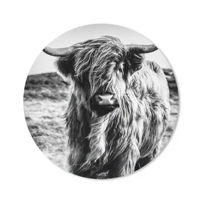 Produktbild von MuchoWow® Mauspad Mousepad Schottischer Highlander - Natur - Kuh - Schwarz - Weiß 50x50 cm - Mousepads - Maus Mat - Pad - Mausunterlage - Vinyl