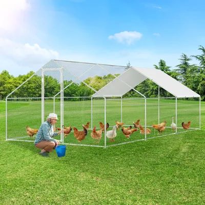 Productafbeelding van Eikuavons kippenhok, 3x6x2 meter. Dwarsbalken. Kippenhuis. Omheining voor vrije uitloop. Stallen voor kleine dieren. Volière met PE-dak