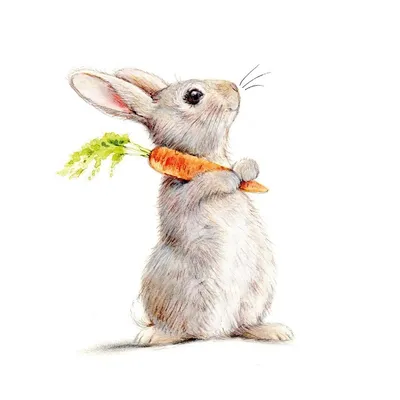 Produktbild von 20 Servietten Rabbit & Carrot  - Niedlicher Hase mit Karotte 33x33cm