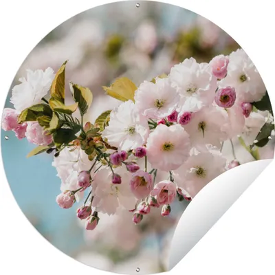 Produktbild von MuchoWow® Gartenposter Outdoor-Poster Rund Blumen - Blüte - Frühling Ø 60 cm Gartendeko Rundes Poster draußen