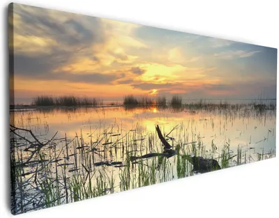 Produktbild von Wallario Premium Leinwandbild Schilf am Abend - Sonnenuntergang über der Seelandschaft in Größe 50 x 125 cm