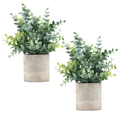 Produktbild von Set mit 2 künstlichen Eukalyptus-Topfpflanzen zur Dekoration