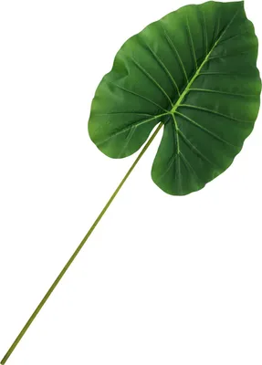 Image de Feuille artificielle PHILO, 105cm