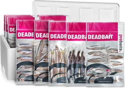 Produktbild von Köderfisch-Set Zanderbox Groß für Zanderangeln, gefroren, mit Rotaugen, Stint, Sprotte