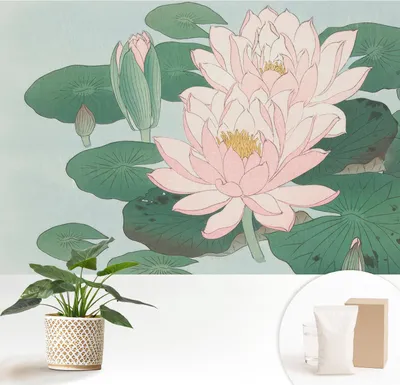 Produktbild von Fototapete  - 152x104 cm - Tapete - Wandtapete - Wandbilder  - Dekofolie - Tapete Folie - Wand - Dekoration - Wohnzimmer - Wasserlotus