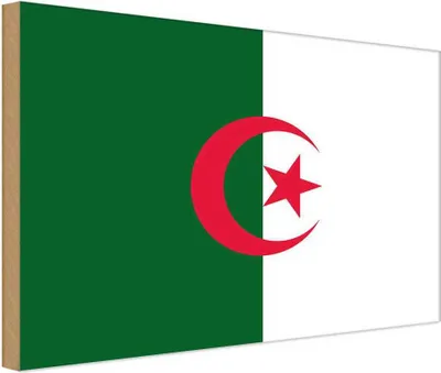 Produktbild von vianmo Holzschild 12x18 cm Algeriens Algeria Flagge Fahne Wappen