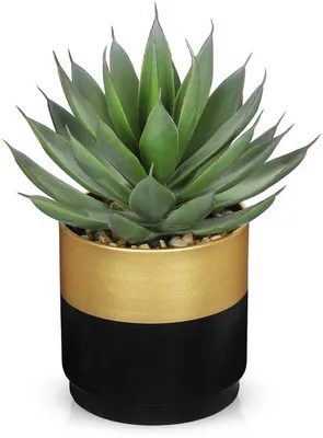 Image de Plante artificielle d'aloe vera dans un pot en céramique noir et or de 20 cm