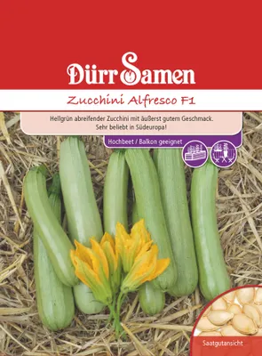 Artikelbild 1 von 'Zucchini Alfresco F1' aus der Kategorie Zucchinisamen