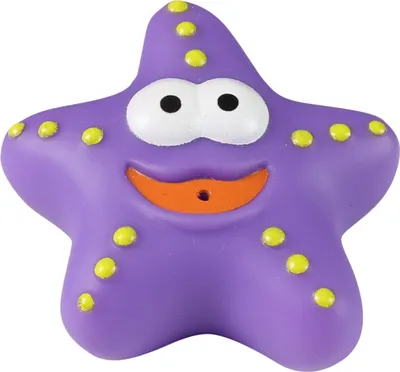 Produktbild von RAPPA Kleines Gummiseesterntier