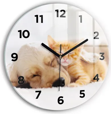 Produktbild von Wallfluent Wanduhr – Stilles Quarzuhrwerk - Uhr Dekoration Wohnzimmer Schlafzimmer Küche - Zifferblatt - schwarze Zeiger - 30 cm - Schlafende Katze und Hund