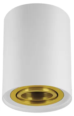 Produktbild von Deckenleuchte 35W GU10 weißgold HARY C Ideus 04239