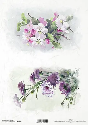 Immagine prodotto di ITD carta di riso per decoupage, R1986 fiori di primavera, aglio, mela e fiori di ciliegio