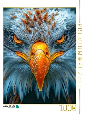 Produktbild von CALVENDO Puzzle Adler | 1000 Teile Lege-Größe 64x48cm Foto-Puzzle für glückliche Stunden
