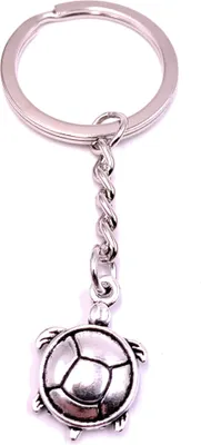 Image de Onwomania Porte-clés Argent Métal Eau Tortue Plate Carapace