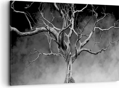 Produktbild von Bild auf Leinwand - Leinwandbild - Einteilig - Schwarzweiß Äste Rauch - 120x80cm - Wand Bild - Wanddeko - Wandbilder - Leinwanddruck - Bilder - Wanddekoration - Leinwand bilder - AA120x80-4346